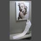 Tapis blanc à jamais déroulé pour Marilyn...