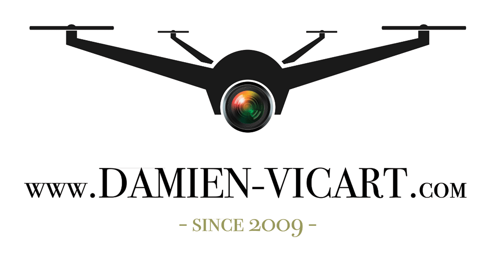 SAS Damien-Vicart