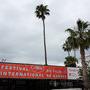 Orange et gris neutre, couleurs plus ou moins volontaires de ce 72e Festival de Cannes - Photo Jean-Noël Ferragut 