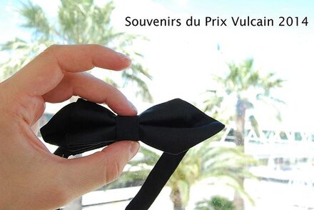 Souvenirs du Prix Vulcain 2014 Par Cyrille Hubert, membre du jury