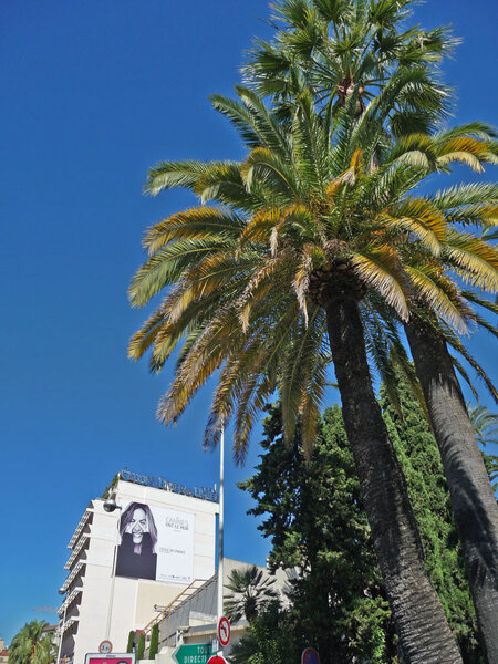 Cannes fait le mur au Cannes Riviera Hôtel - Photo Jean-Noël Ferragut