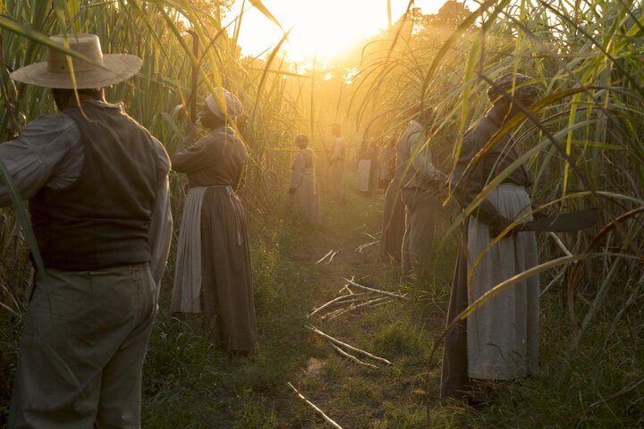 James Laxton, ASC, talks about shooting Barry Jenkins' series "Underground Railroad" Between magic and reality
