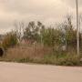 Les Films du Losange 