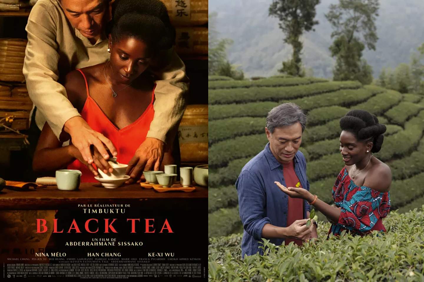 Entretien avec Aymerick Pilarski, AFC, à propos de "Black Tea", d'Abderrahmane Sissako