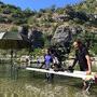 Travelling aquatique 