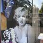 Les vitrines du jour - Photo JN Ferragut 