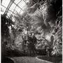 Serre du Jardin des plantes, 1943 - Photo Robert Doisneau 