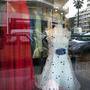 Les vitrines du jour - Photo JN Ferragut 