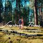 DP : Josua Stäbler - Photogramme 