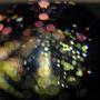 Reflets dans une lentille - Photo Jean-Noël Ferragut 