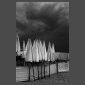 Tristes parasols 