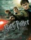 Harry Potter et les reliques de la mort - partie 2