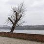 Sur les bords de la Vistule - Photo Katarzyna Średnicka 