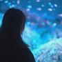 "Satoshi Kon, l'illusionniste", l'aquarium - © Eurospace / Genco / Allerton Films / Carlotta Films 