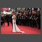 Photographes et tapis rouge pour Christopher Doyle et Juliette Binoche