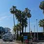 Cannes, côté Californie - Photo JN Ferragut - AFC 
