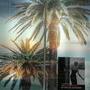 Sous les palmiers... - Les vitrines du jour © AFC Photo Jean-Noël Ferragut 