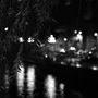 Rives nocturnes de la rivière Brda - Photo Sarra Barrira 