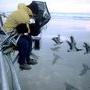 Le Peuple migrateur 