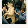 Patrick Grandperret sur le tournage de "L'Enfant lion", en 1992 - Photo Polaroid Olivia Bruynoghe 