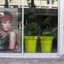 Les vitrines du jour - Photo Jean-Noël Ferragut 