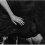 Les mains de Bresson 
