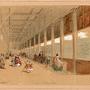 Prévost-Dumarchais, Hippolyte Adrien Démétrius (ou Provost-Dumarchais) "L'intérieur de l'aquarium du jardin (…) 