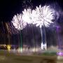 Palmiers d'artifice du 14 juillet - Photo Jean-Noël Ferragut 