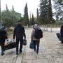 Transport de matériel dans les jardins du Dôme du Rocher à Jérusalem - Photo JG 