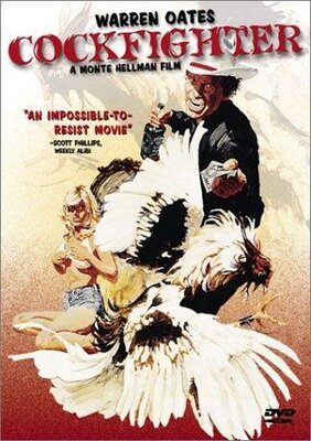 affiche Cockfighter