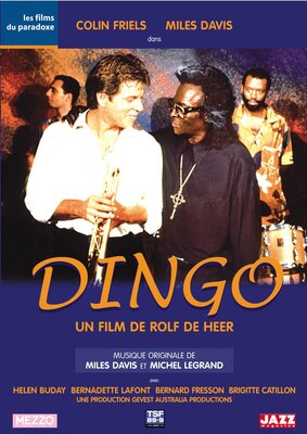 affiche Dingo