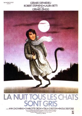 affiche La Nuit, tous les chats sont gris