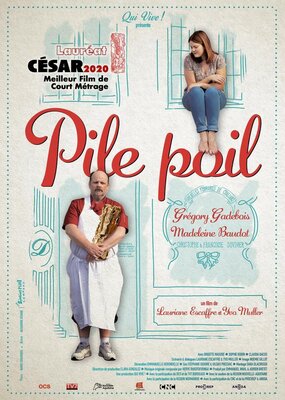 affiche Pile poil