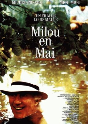 affiche Milou en mai