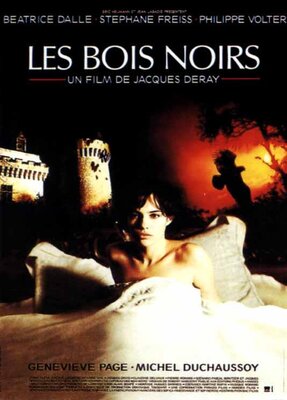 affiche Les Bois noirs