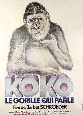 affiche Koko, le gorille qui parle