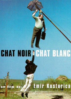 affiche Chat noir, chat blanc