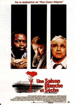 affiche Une saison blanche et sèche