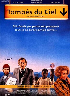 affiche Tombés du ciel