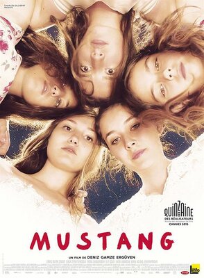 affiche Mustang
