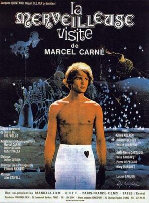 affiche La Merveilleuse visite