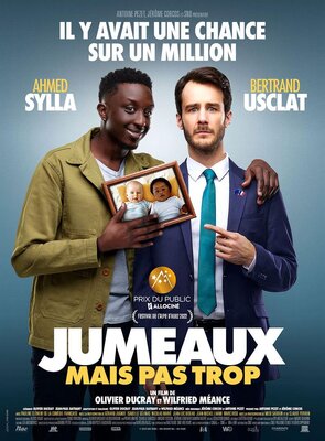 affiche Jumeaux mais pas trop