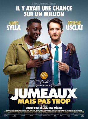 affiche Jumeaux mais pas trop