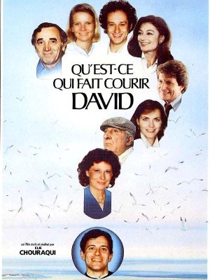 affiche Qu'est-ce qui fait courir David ?