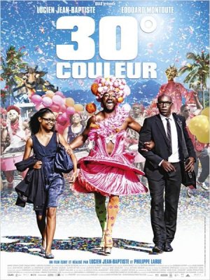 affiche 30° couleur