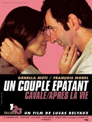 affiche Un couple épatant