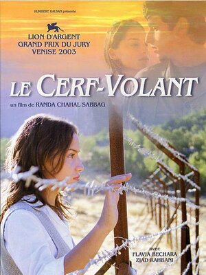 affiche Le Cerf-volant