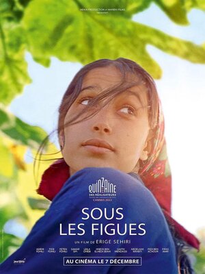 affiche Sous les figues