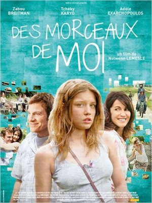 affiche Des morceaux de moi