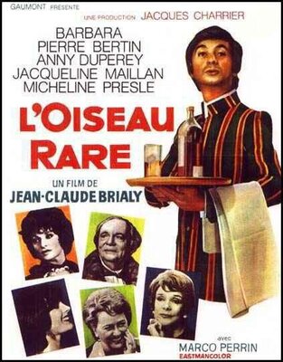affiche L'Oiseau rare